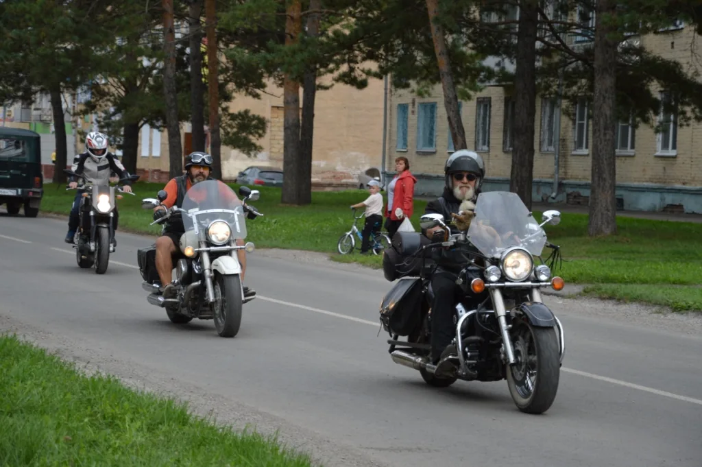 "Голубь мира" (10)
