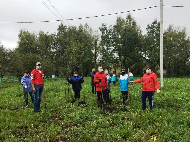 Единый День посадки дерревьев (12)