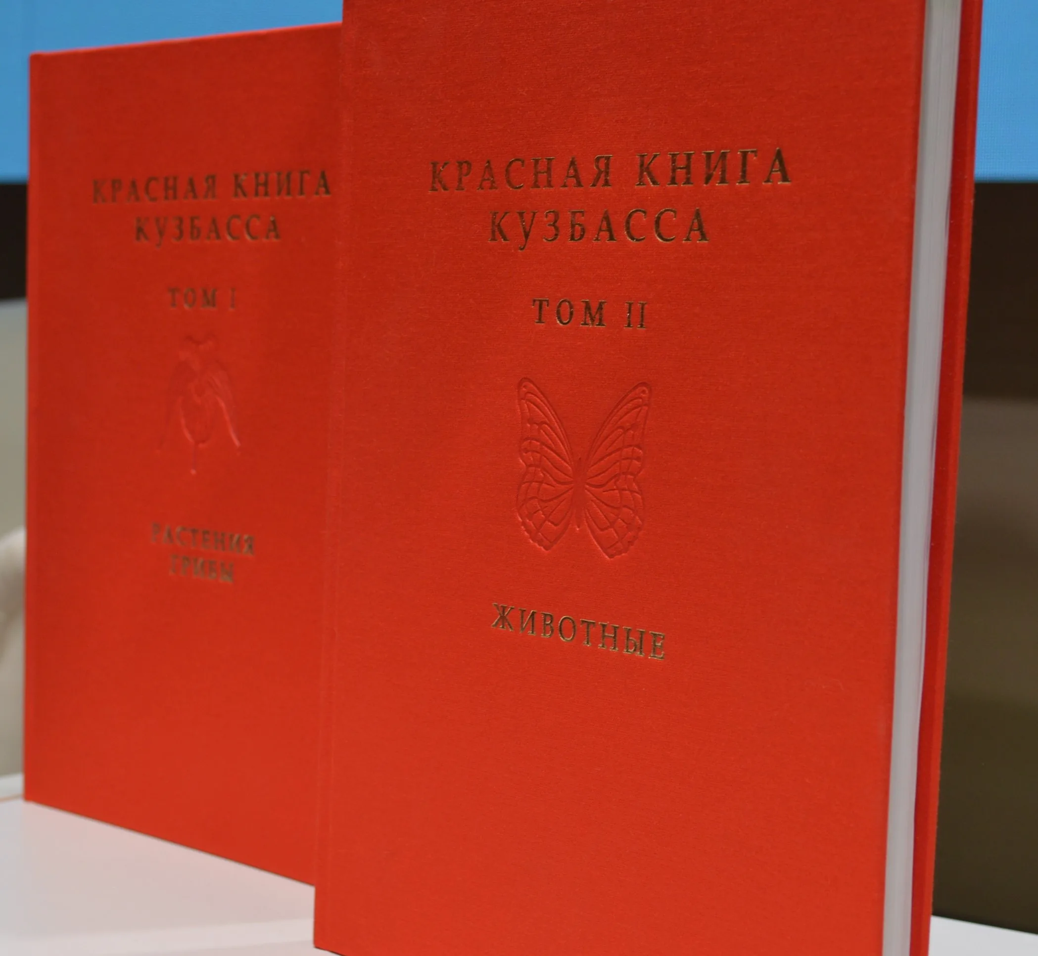 Презентация Красной книги в Белово (6)