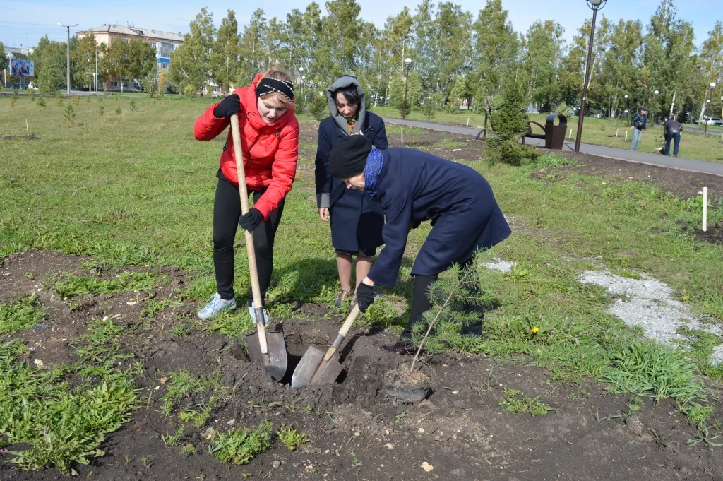 Живи лес! (25)